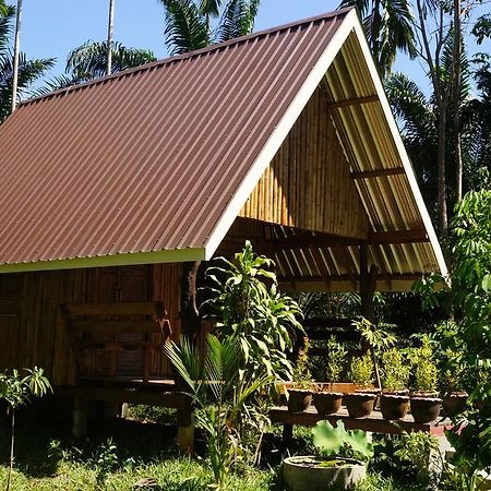 Khao Sok Jungle Resort Khao Sok National Park Room photo