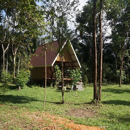 Khao Sok Jungle Resort Khao Sok National Park Exterior photo
