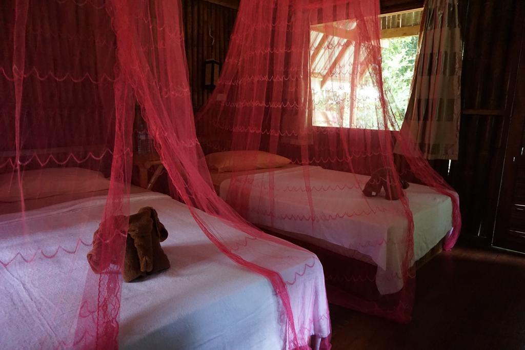 Khao Sok Jungle Resort Khao Sok National Park Room photo