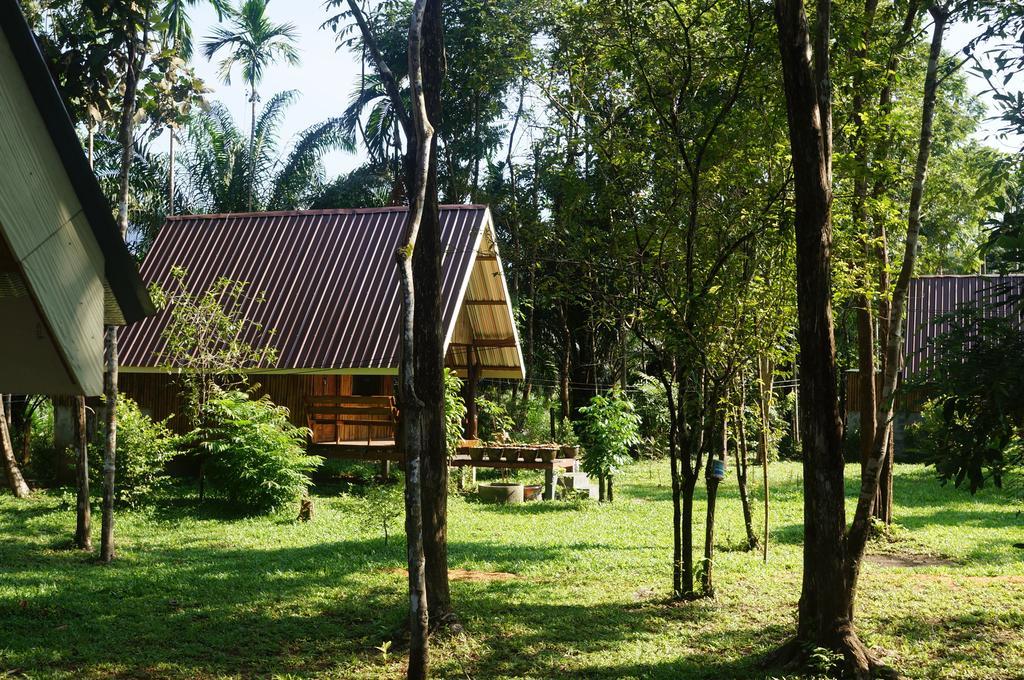 Khao Sok Jungle Resort Khao Sok National Park Room photo