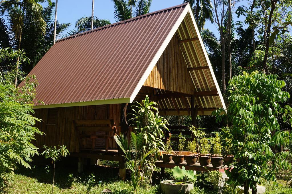 Khao Sok Jungle Resort Khao Sok National Park Room photo