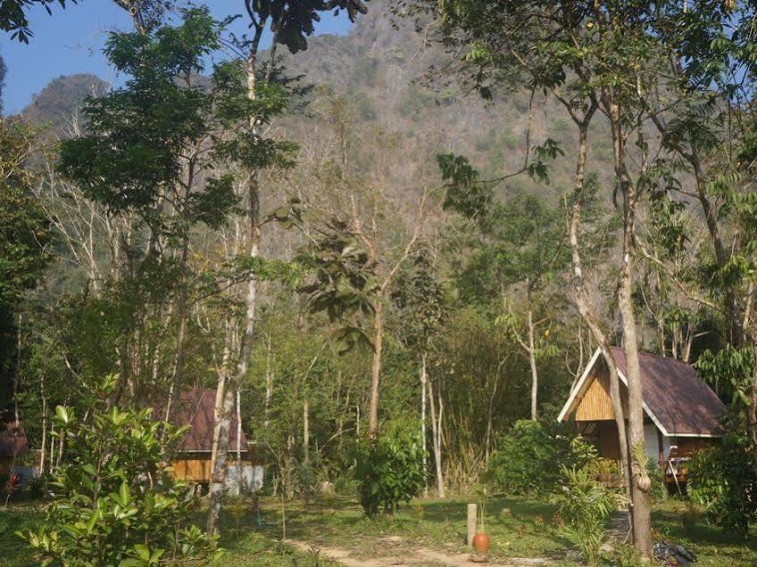 Khao Sok Jungle Resort Khao Sok National Park Exterior photo