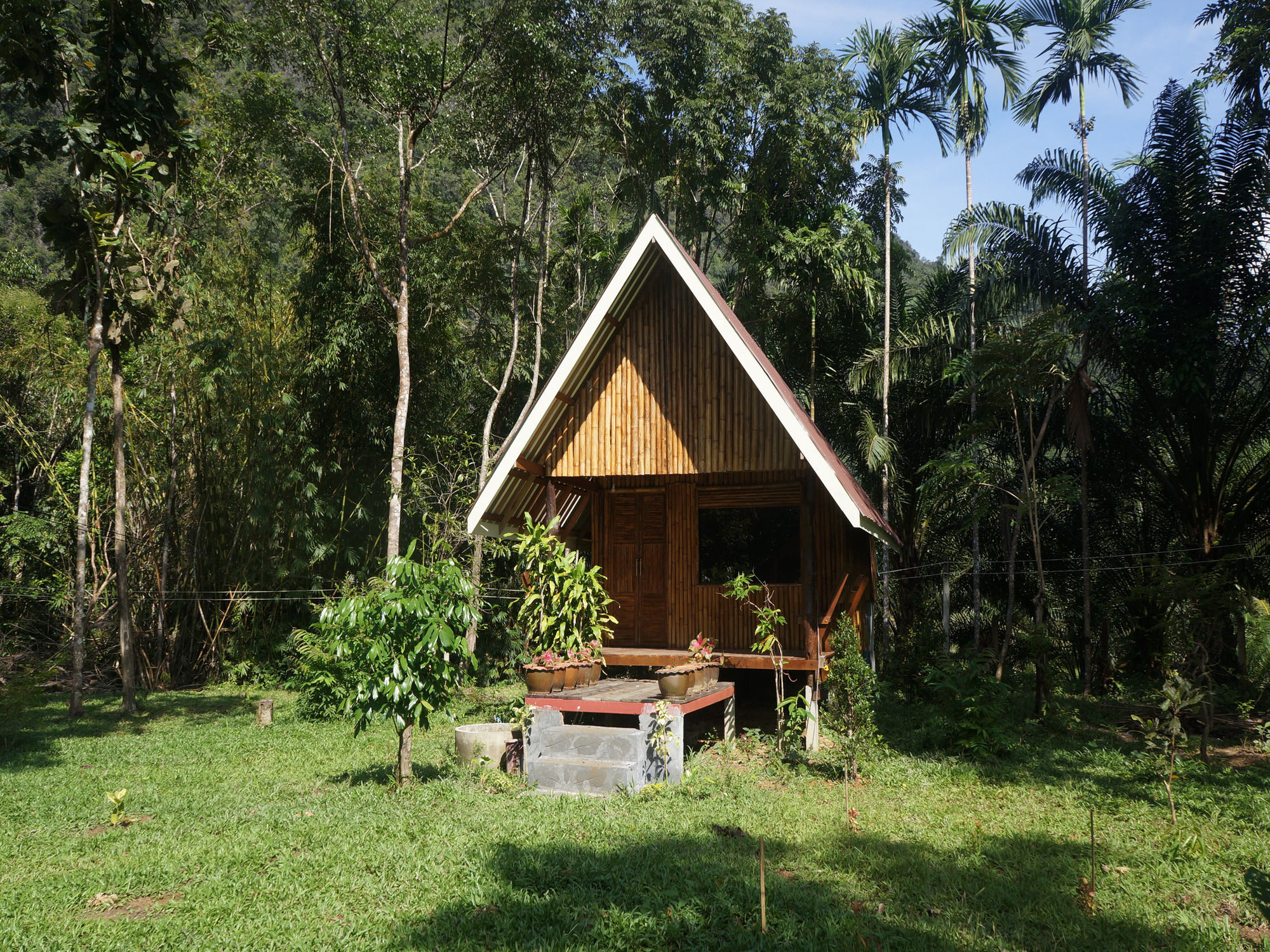 Khao Sok Jungle Resort Khao Sok National Park Exterior photo