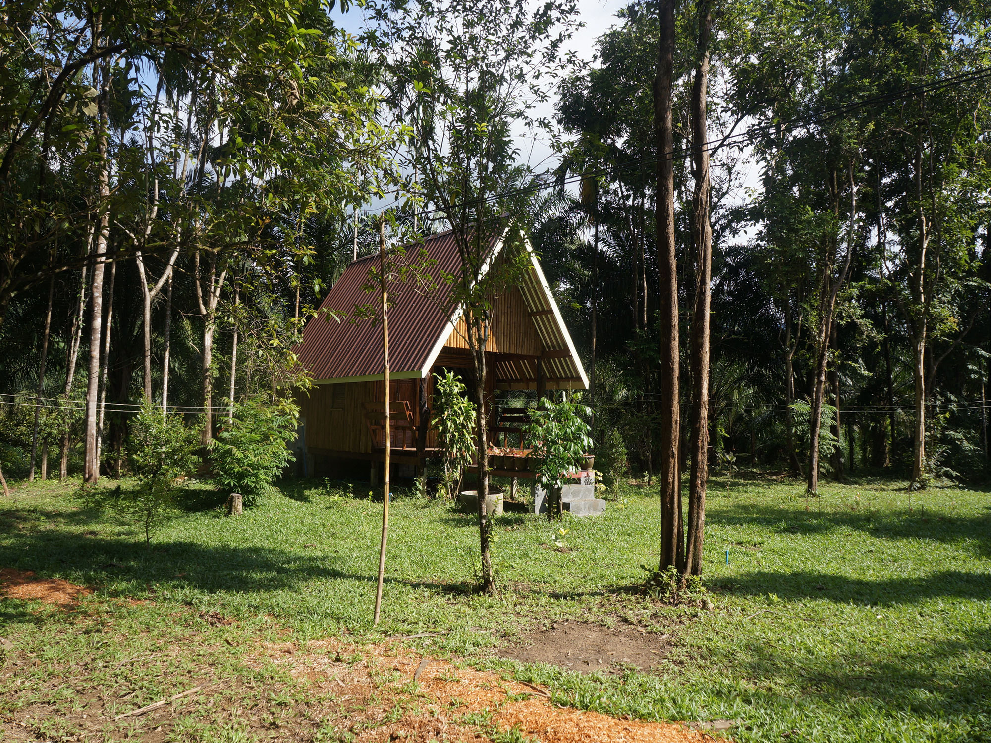 Khao Sok Jungle Resort Khao Sok National Park Exterior photo