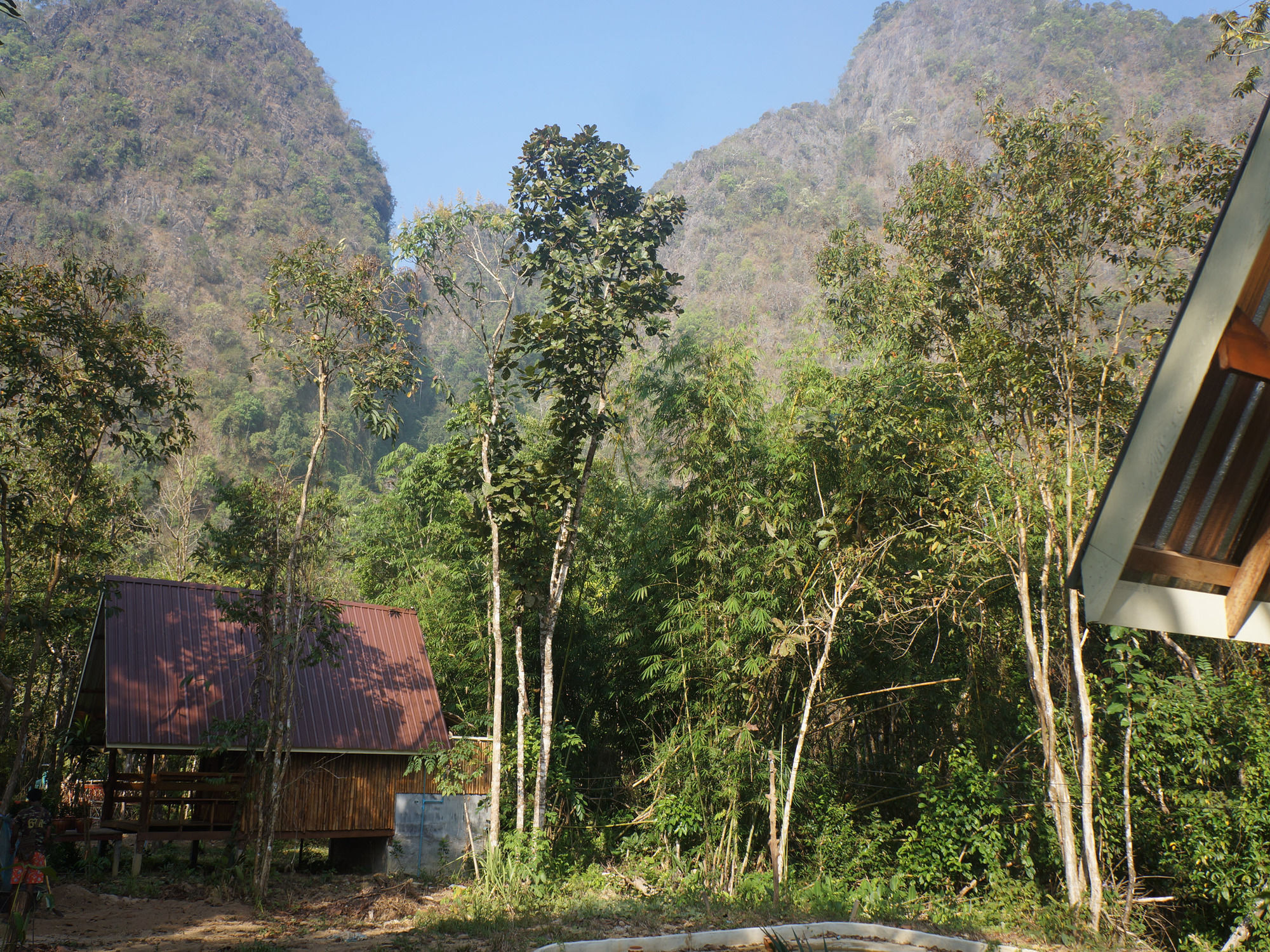 Khao Sok Jungle Resort Khao Sok National Park Exterior photo